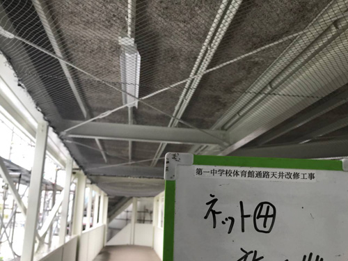 学校の体育館通路の天井に鳩避けネット