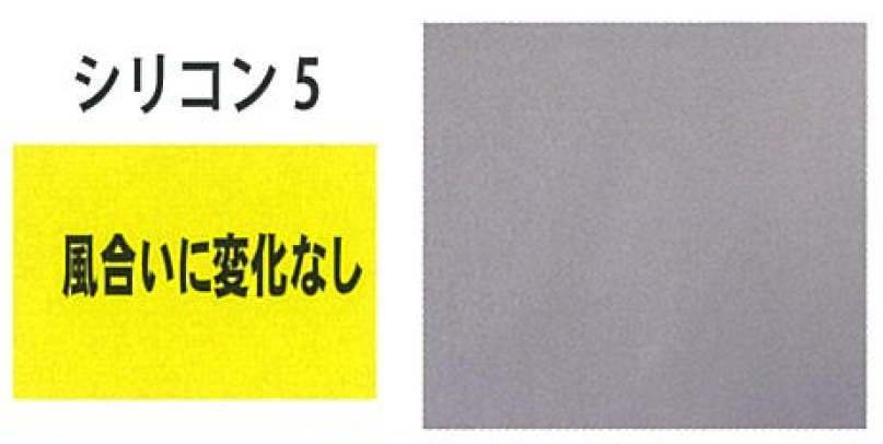 シリコン5比較